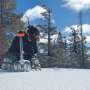 Fresh as the microplastic-laden Sierra snow: Storms can deliver pollution to even remote locations