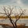 Nature finance needs a fundamental rethink, researchers argue