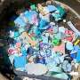 Microplastic shape can influence viral disease severity in rainbow trout