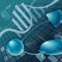 The 'shape' of gene expression: Identifying genes that may share roles across species